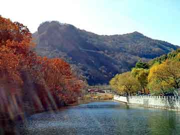 管家婆黑白马报图库，生日拼图